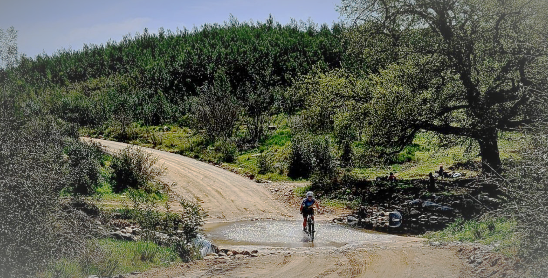 Fietsryer_Driffie_05.jpg