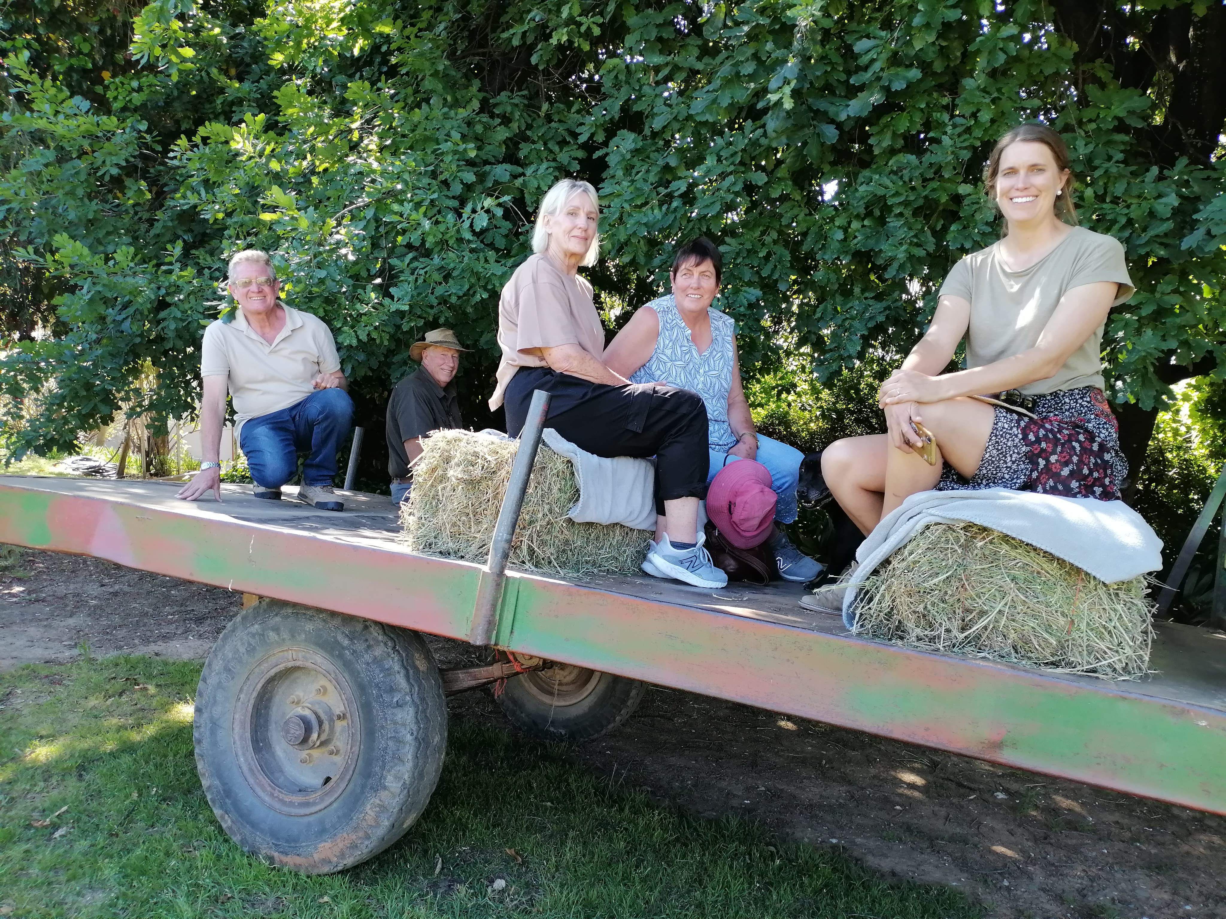 IMG-20241112-WA0013