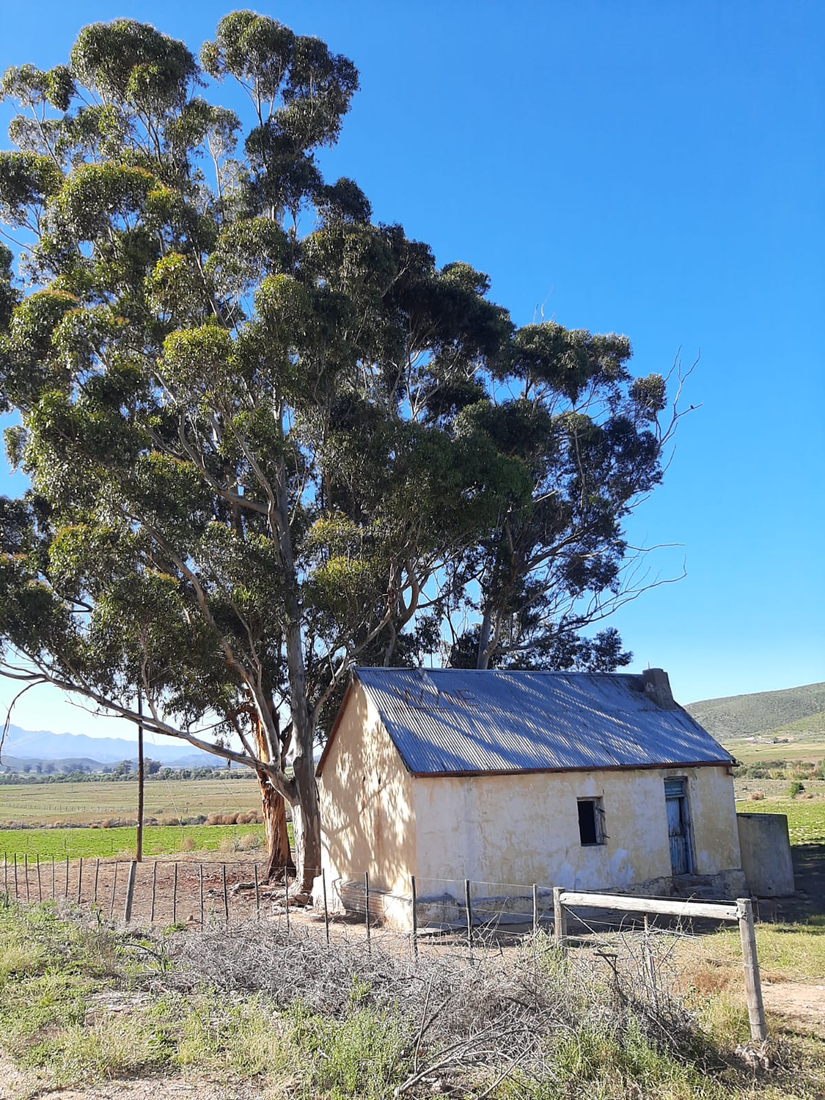 Klein Karoo Huisie